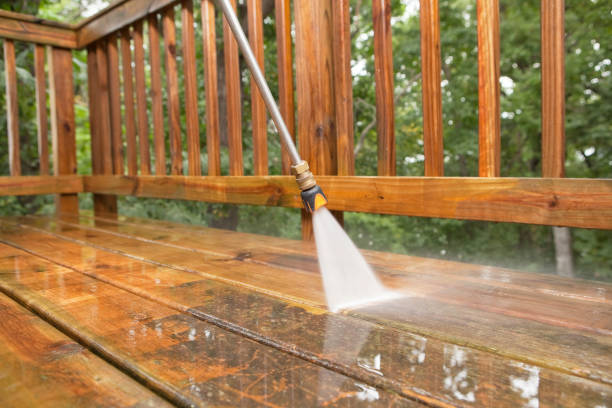 Best Best Pressure Washing Companies  in Rockwood, MI