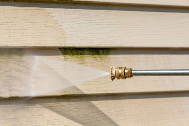 Best Deck Pressure Washing  in Rockwood, MI